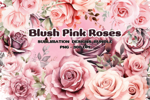 Download Blush Pink Roses Flowers Watercolor PNG - Blush pink Collection