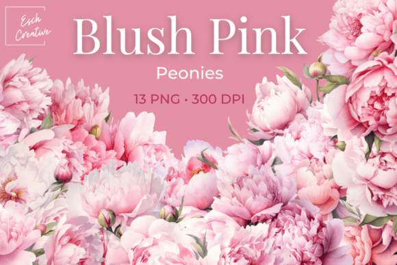 Download Blush Pink Peonies Watercolor Flowers - Blush pink Collection