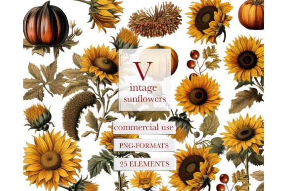 Download Vintage Watercolor Sunflower Clipart - Premium Resources