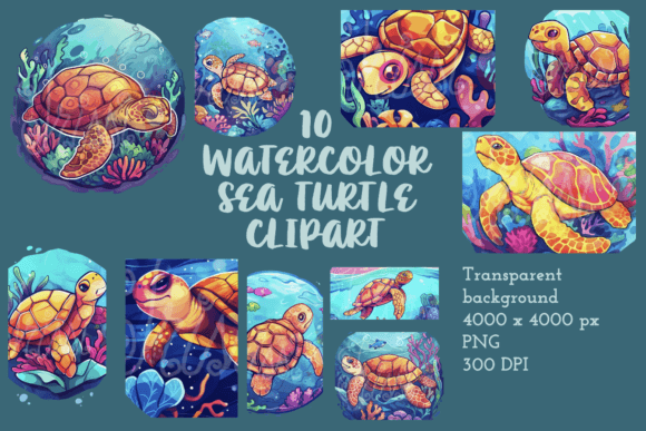 Download Clip Art Turtle Images Watercolor Ocean - Premium Resources